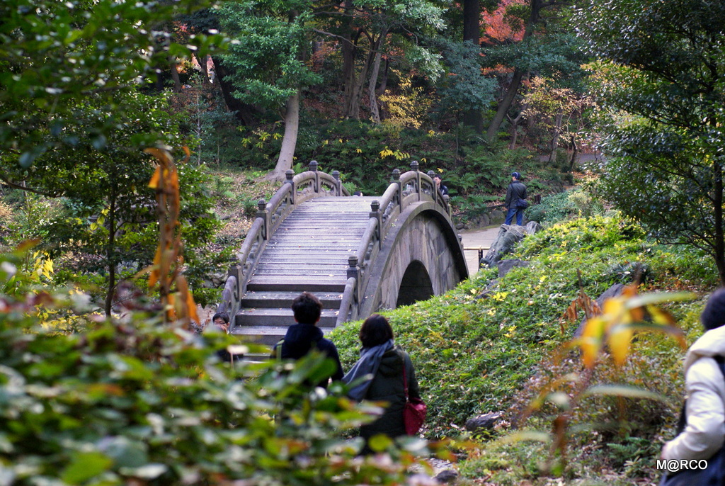 a0240721_22555015.jpg