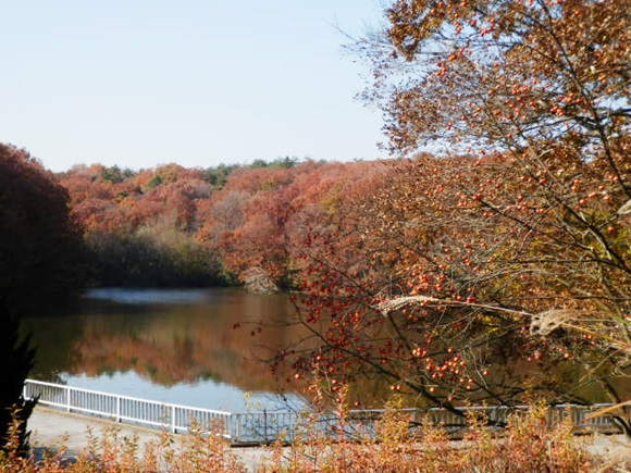 f0182121_15171246.jpg