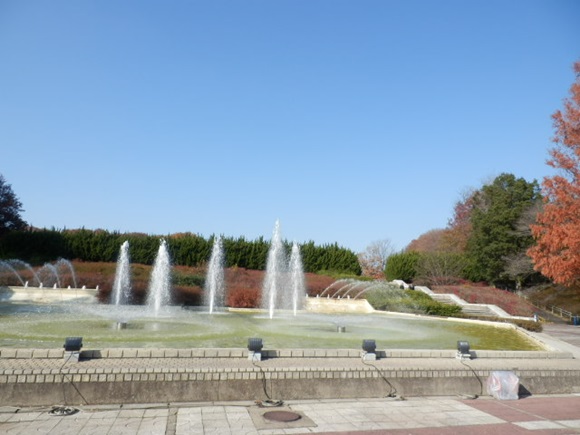 f0182121_1536321.jpg
