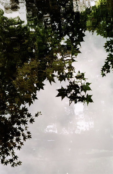 f0182924_2065757.jpg