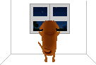a0206332_1334317.gif