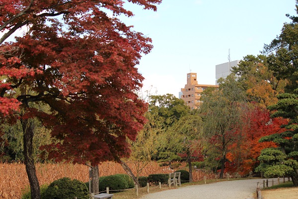 e0200132_2349215.jpg