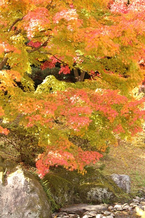 e0200132_2353406.jpg