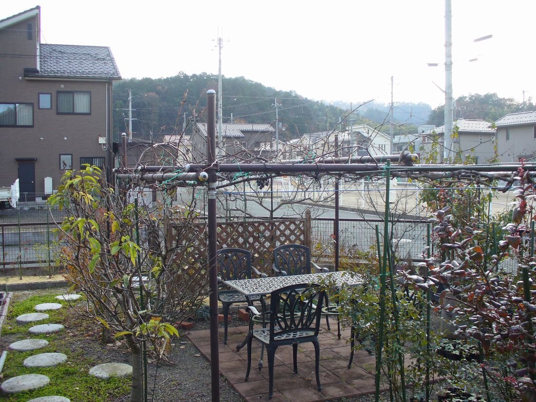 f0275632_23105044.jpg
