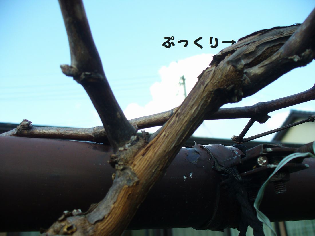 f0275632_23222421.jpg