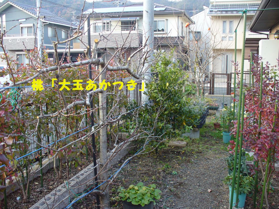 f0275632_23254172.jpg