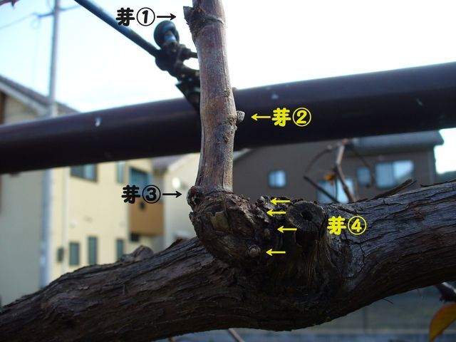 f0275632_2337107.jpg