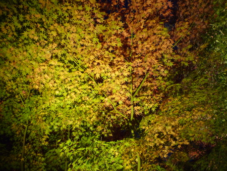 f0214837_2237441.jpg