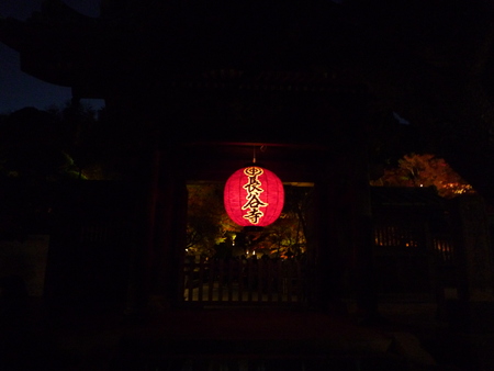 f0214837_2248507.jpg