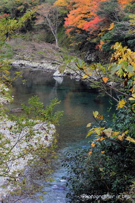 e0083238_6351890.jpg