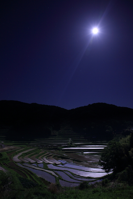 c0253439_9441096.jpg