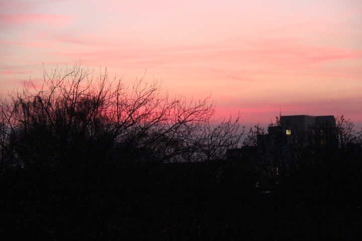 c0153740_1123599.jpg