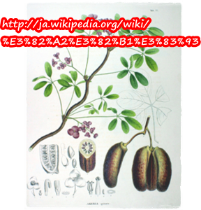 b0115642_22215724.png