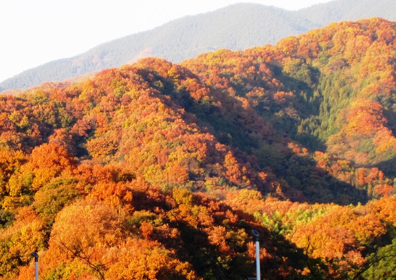 b0289649_2055497.jpg
