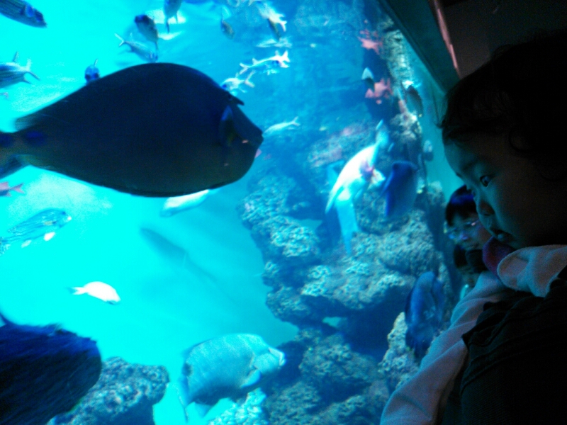c0145750_12243448.jpg