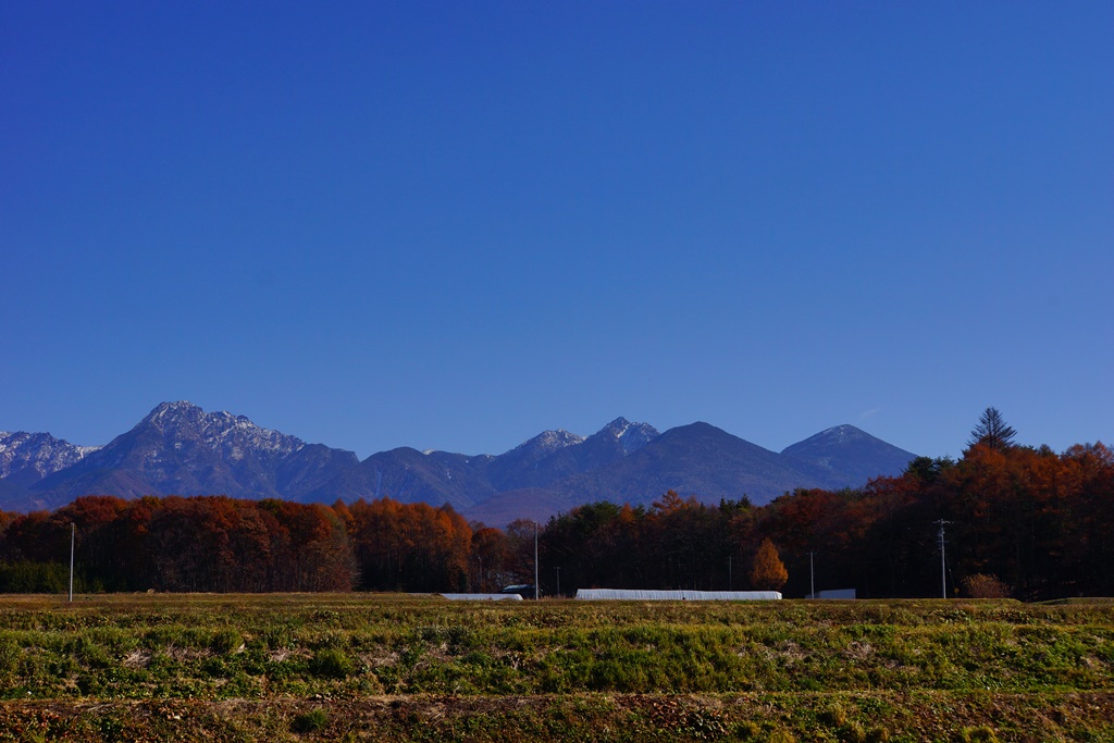 e0223456_10383321.jpg