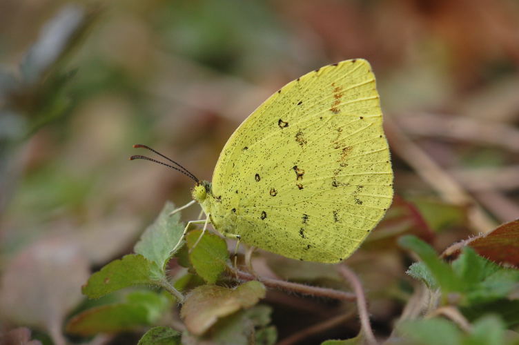 b0167762_22151355.jpg