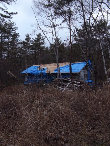 c0166668_1624014.jpg