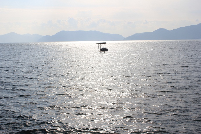 e0175370_10141011.jpg