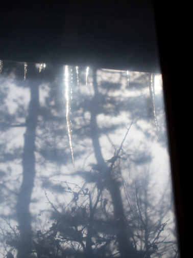 b0011771_111575.jpg