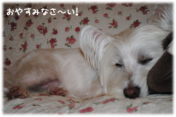 b0242873_1514442.png