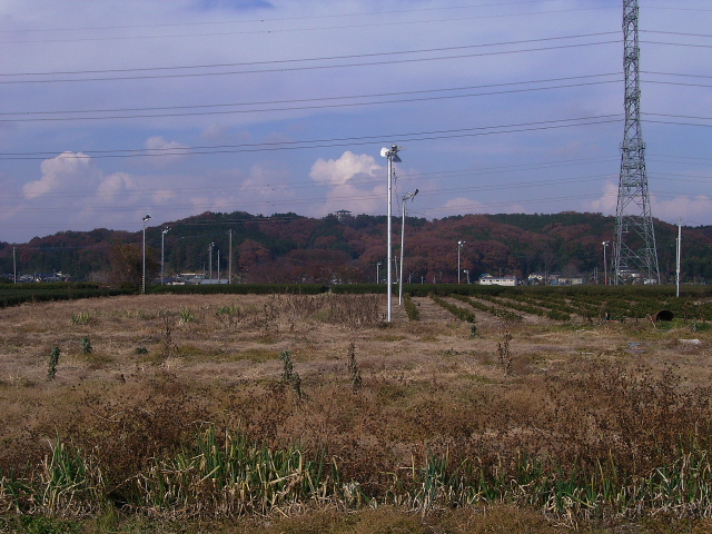 d0225575_2317190.jpg