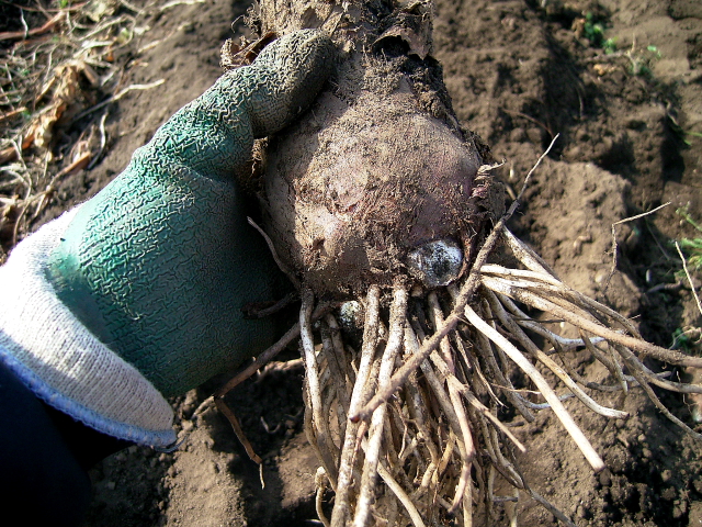d0225575_23311371.jpg