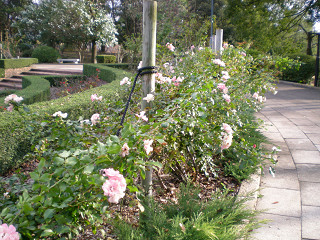 c0311276_15354039.jpg