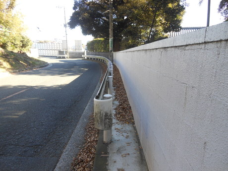 c0206177_916184.jpg