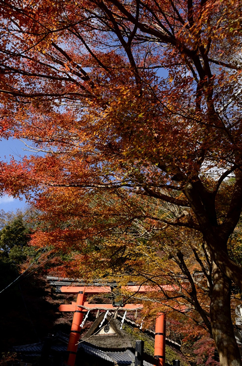 f0108478_1213145.jpg