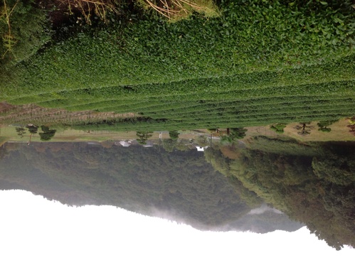 c0155980_353687.jpg