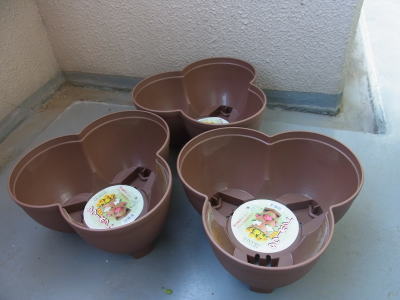f0014980_16312750.jpg
