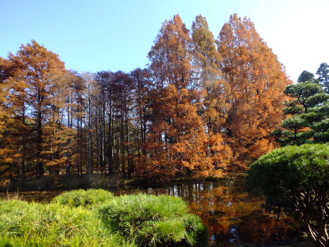 e0145782_17281342.jpg