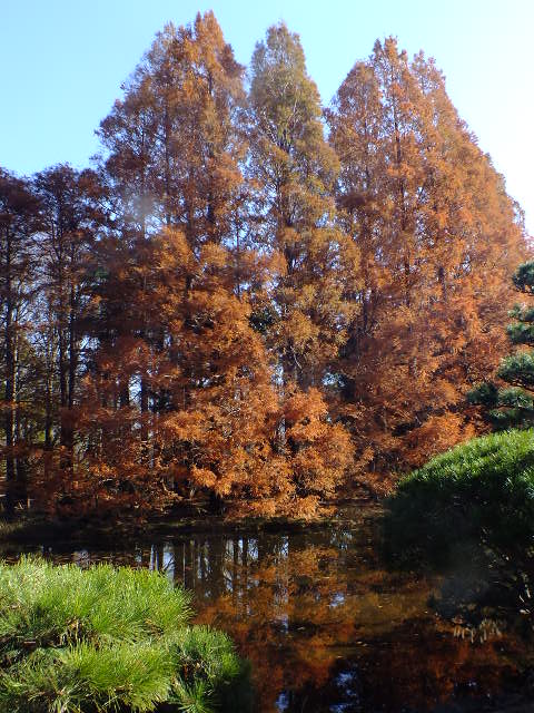 e0145782_172952.jpg