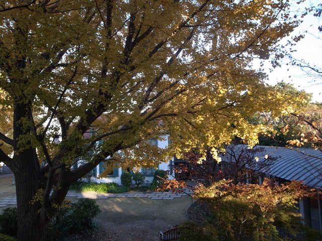 c0188784_21131999.jpg