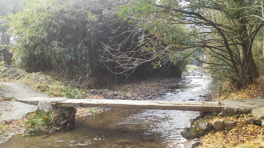 b0125397_1315999.jpg