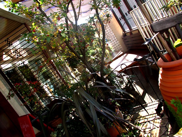 b0192199_18145432.jpg