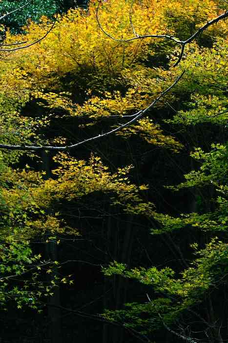 f0083400_23454093.jpg