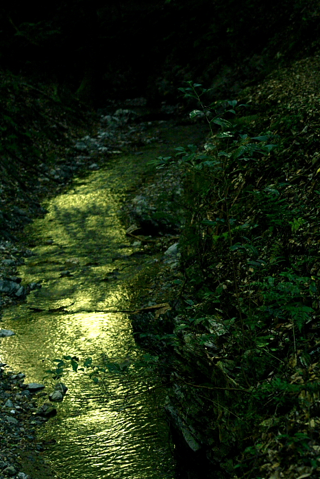 f0083400_23521399.jpg