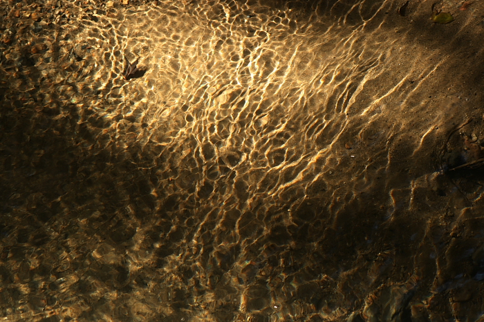 f0083400_23535340.jpg