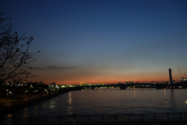 a0167803_1024644.jpg