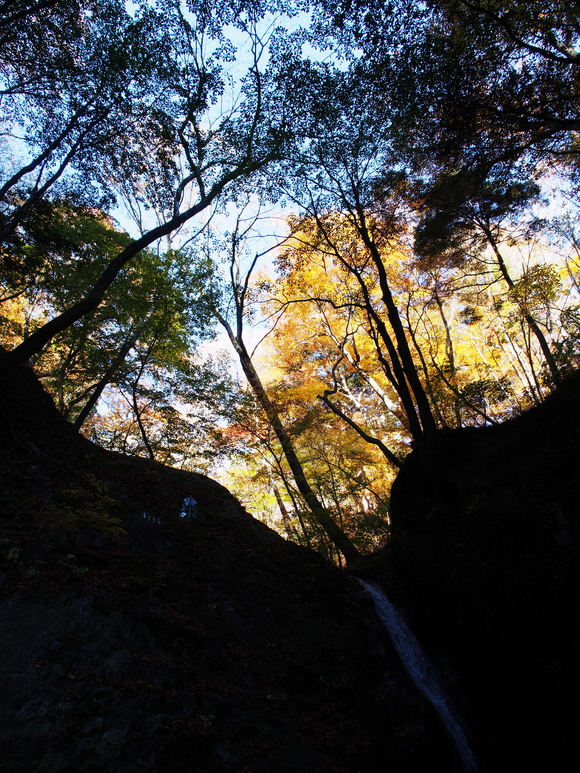 f0302208_0402666.jpg