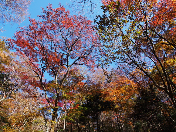 f0302208_0412411.jpg