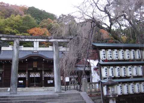 a0164011_2105154.jpg