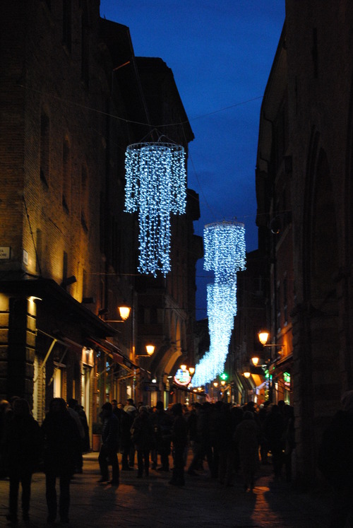e0203331_3201526.jpg