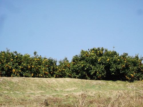 b0137932_17423124.jpg