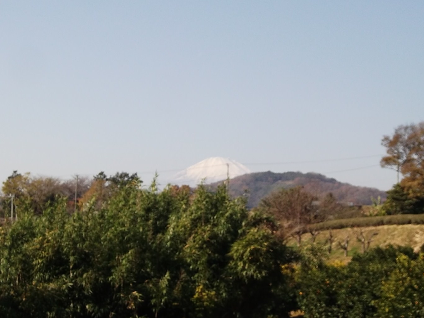b0137932_17442215.jpg