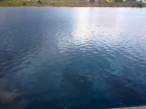 d0013834_12152722.jpg