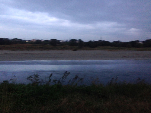 d0013834_12153444.jpg