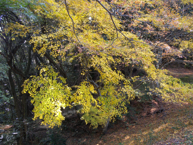 e0272335_555226.jpg